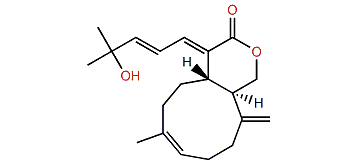 9-Deoxyxeniolide A